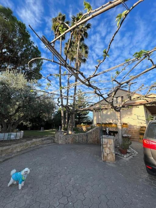 Casa Parra Villa Deltebre Eksteriør billede