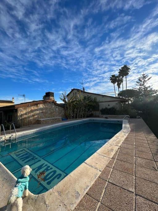Casa Parra Villa Deltebre Eksteriør billede